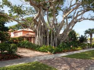 Residential Cleaning Services